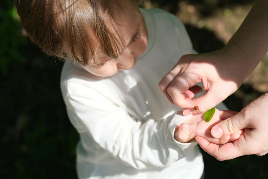 formation professionnelle périnatalité observation et accompagnement du jeune enfant sur le terrain